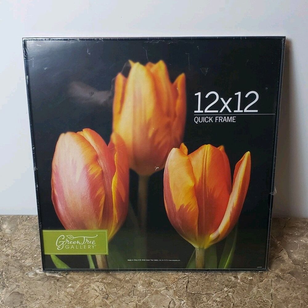 New Picture Frame 12x12 Green Tree Gallery Quick Frame Brand  New And Sealed !!!